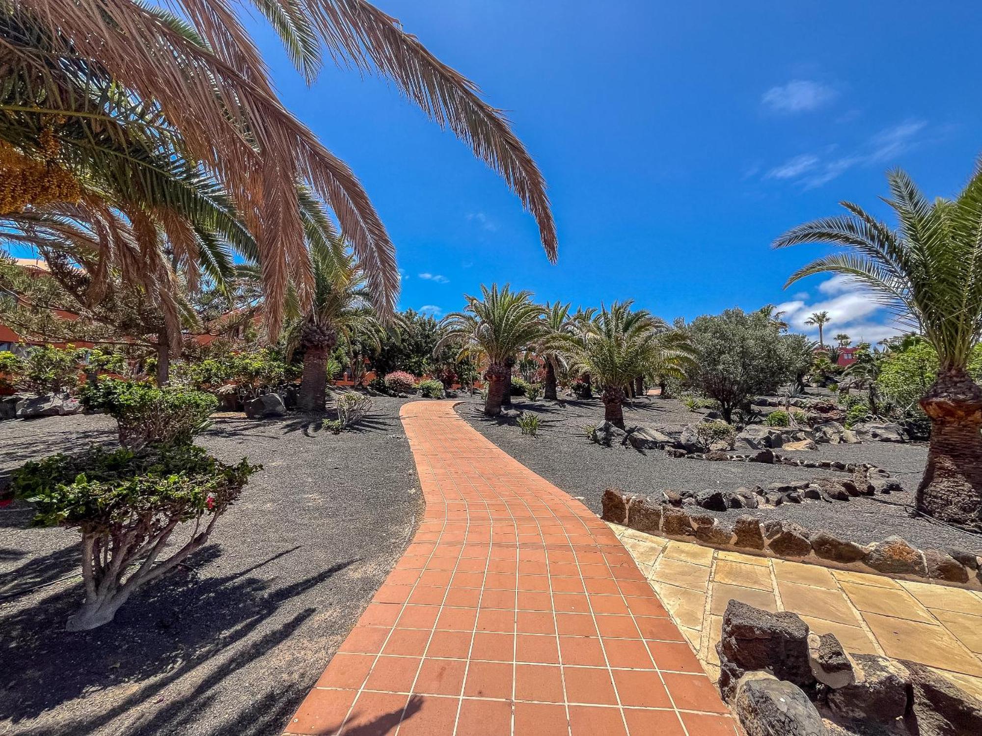 Apartamentos Oasis Royal Corralejo F314 外观 照片