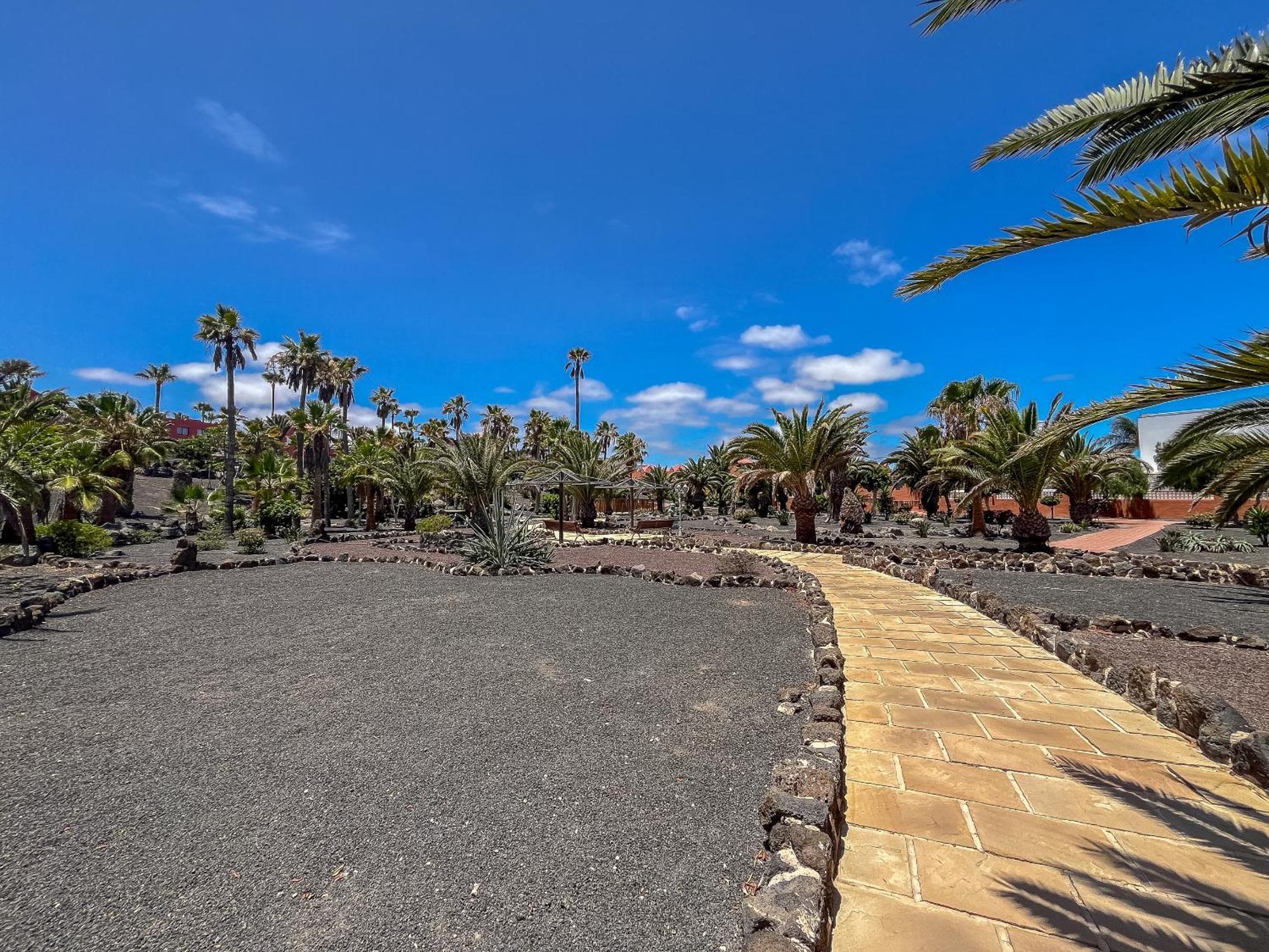 Apartamentos Oasis Royal Corralejo F314 外观 照片
