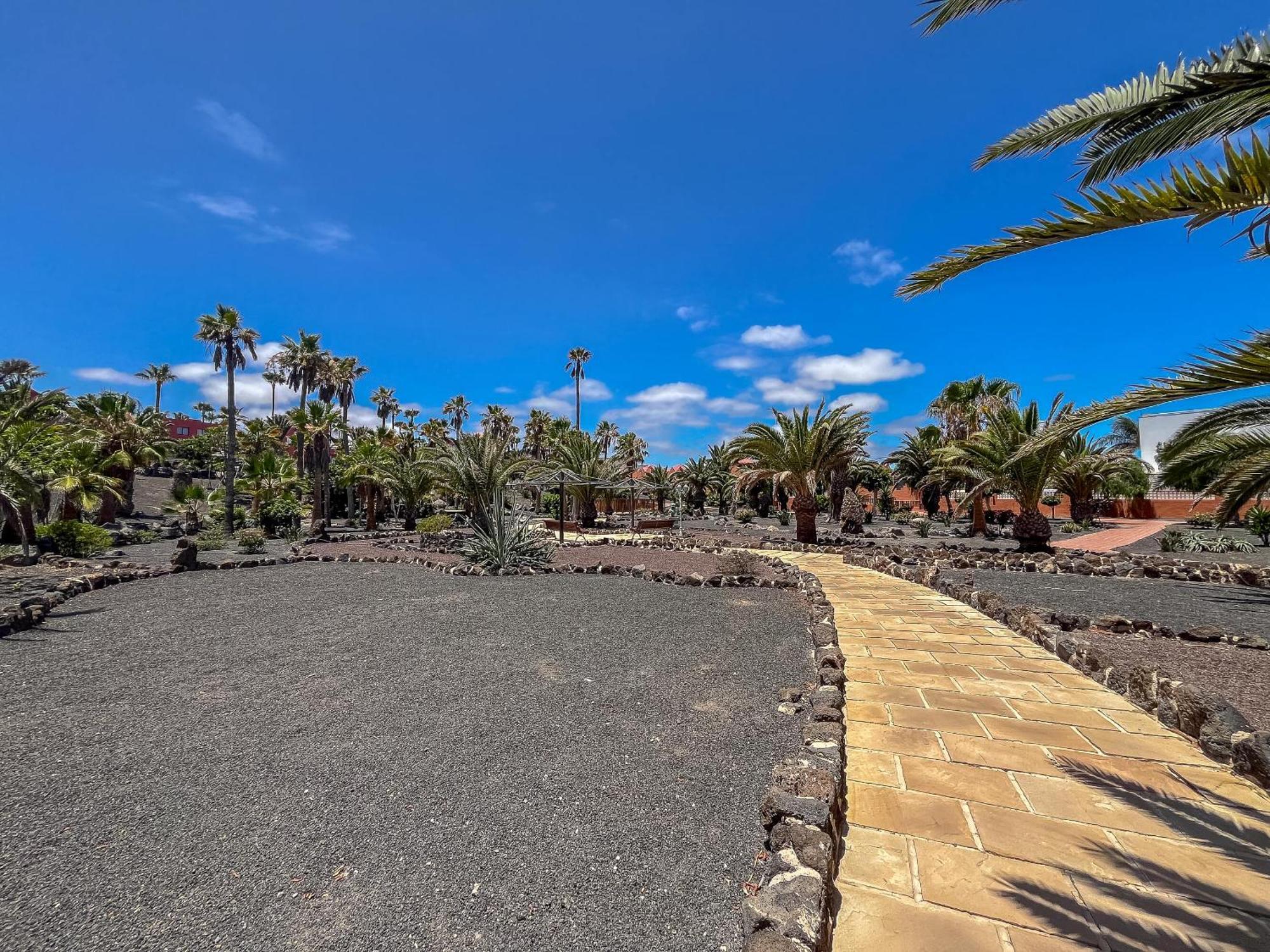 Apartamentos Oasis Royal Corralejo F314 外观 照片
